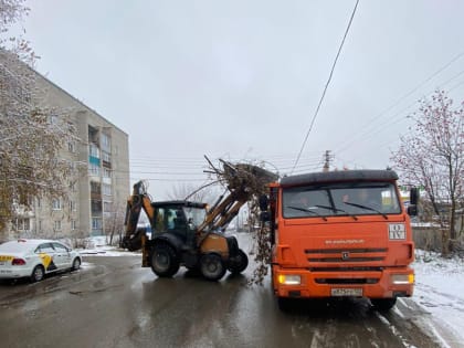 Чистый четверг в Барнауле: продолжается борьба с мусором