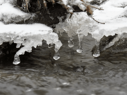 Погода 31 марта в Алтайском крае: без осадков и до +16 градусов