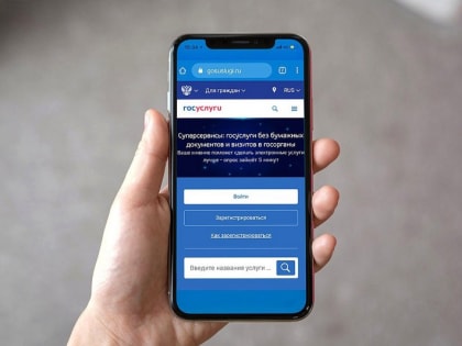 Налоговые уведомления можно будет получать через «Госуслуги»