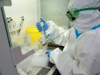 В Алтайском крае за сутки выявили 99 случаев заражения коронавирусом