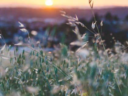 Такой день. Прилёт Мишустина на Алтай и возможное возвращение масочного режима