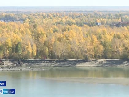 Классическое бабье лето началось в Алтайском крае