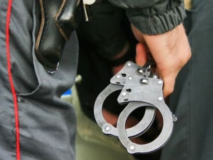 В Новосибирске задержали подозреваемого в серии нападений на женщин