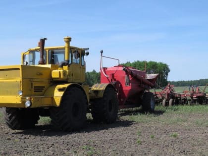 В трети районов Алтайского края началась посевная кампания