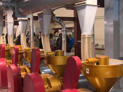 В Заринске открыли новый завод по производству льняного и рапсового масла