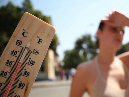 Жара: о погоде в Алтайском крае 25 июня