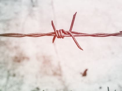 В Алтайском крае за взятку сотруднику пограничной службы осудили иностранца