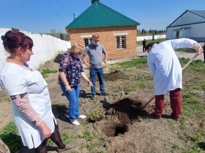 Участие в проведении марафона «Добрые дела» приняли специалисты Управления Роспотребнадзора и Центра гигиены и эпидемиологии в Алтайском крае