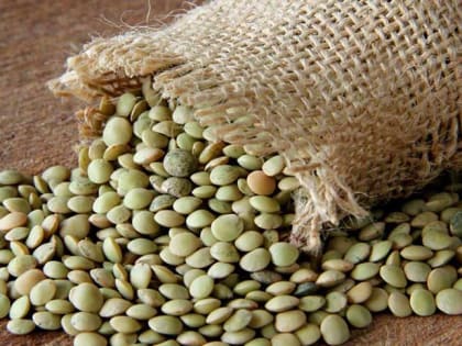 Более 130 тонн чечевицы отправили по железной дороге из Алтайского края в Иран