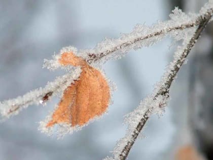 До -5: о погоде в Алтайском крае 7 декабря