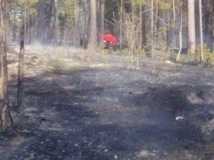 Рядом с Павловском произошел сильный пожар около заправки