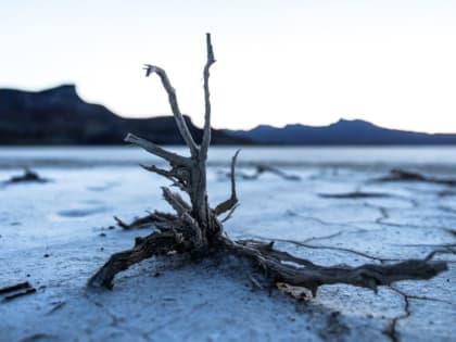 Живет в страхе. Что известно о "постапокалипсисе" в Херсоне