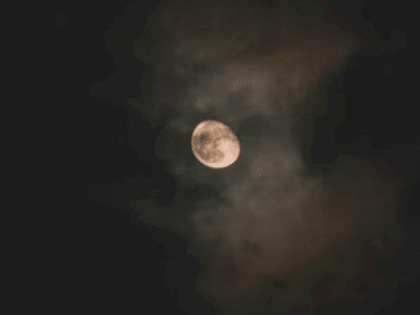 Такой день. Концерт без лифчиков и перцовый баллончик на детской площадке