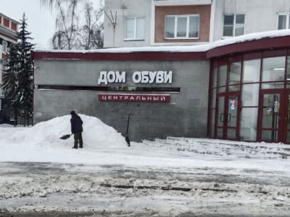 Контроль за уборкой снега в потребительском секторе города