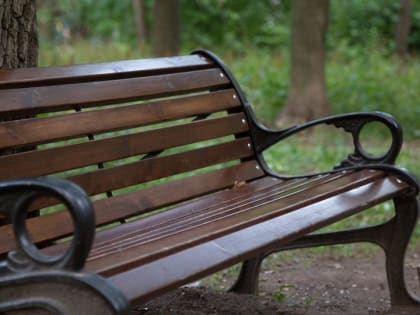 В Барнауле готовят парки, скверы и улицы к летнему сезону