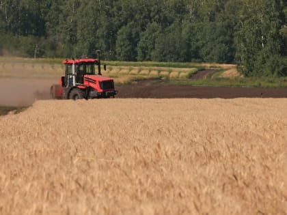 Сушите баки: аграрии и дорожники рискуют сорвать работы из-за дефицита топлива