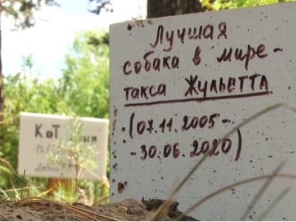 "Эмоции домохозяек". Затухла ли в Барнауле тема с кладбищем домашних животных