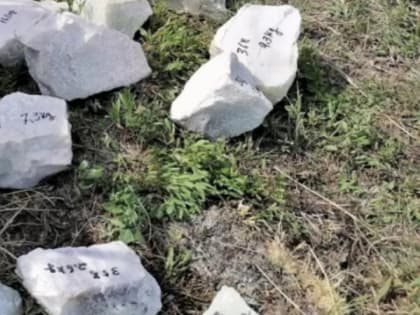 Мужчину поймали на границе Алтайского края с нефритом на 46 млн рублей