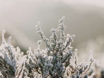 Такой день. «Замерзающий» Барнаул и опровержении информации о плачевных условиях об алтайских фельдшерах