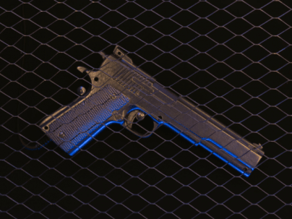 Барнаулец спас девушку с ребенком от стаи собак и нарвался на проблемы с полицией