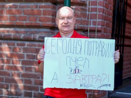 Депутаты поспорили о «пчелинном геноциде» на сессии АКЗС