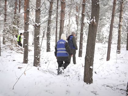 В райцентре Смоленское появились волонтёры-поисковики
