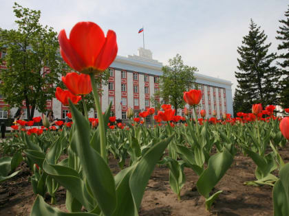 Губернатор внес в АКЗС законопроект об увеличении расходов бюджета Алтайского края