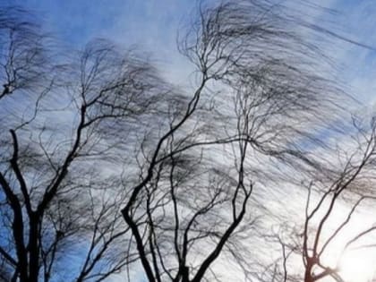 Жара до +12 со снегом и ветром. Мощный циклон обрушится на Алтайский край