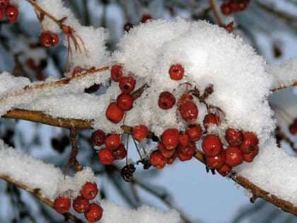 До +6: о погоде в Алтайском крае 24 февраля
