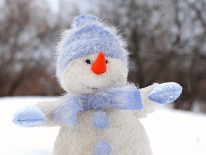 Небольшой снег и до -9 градусов ожидается 23 декабря в Алтайском крае