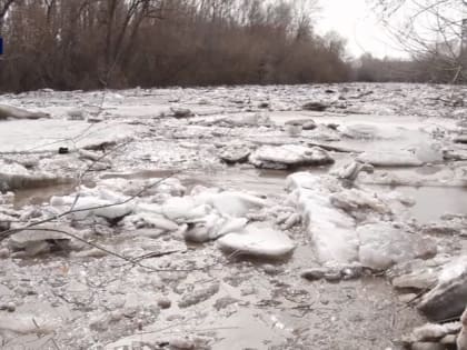 Алей стал первой рекой в Алтайском крае, которая вскрылась в этом году