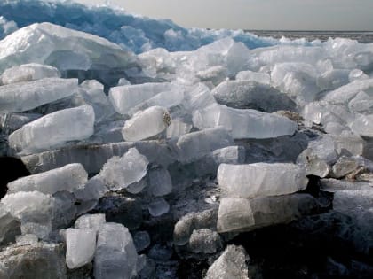 В Рубцовске на реке Алей ледоход захватил деревья и кустарники