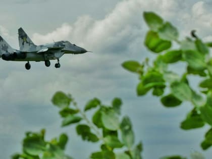 Белый дом: Украину не возьмут в НАТО в ближайшие годы