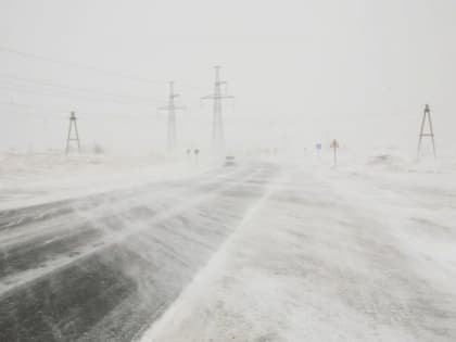 МЧС предупредило об ухудшении погоды в Алтайском крае