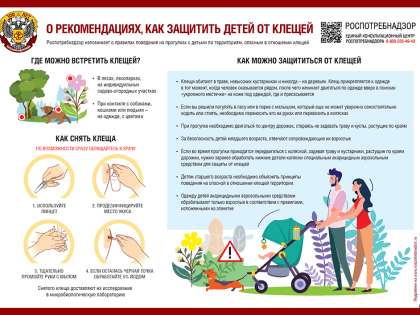 В Роспотребнадзоре рассказали про профилактику клещевого энцефалита