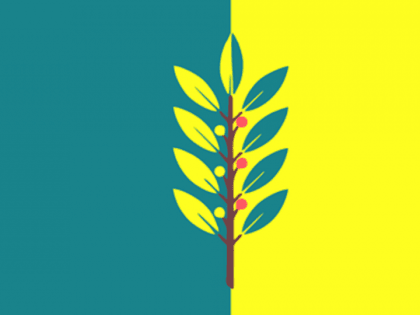 У Славгорода появился свой официальный флаг города