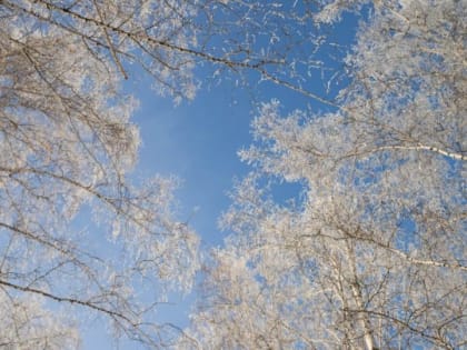 Небольшой снег и до +1 градуса ожидается 4 декабря в Алтайском крае