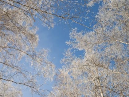 Небольшой снег и до +1 градуса ожидается 4 декабря в Алтайском крае