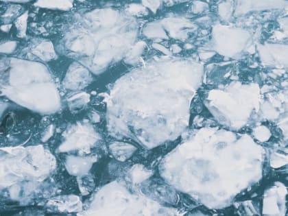 Такой день. Новый мэр в Бийске и обкатка рубцовских троллейбусов спикером АКЗС