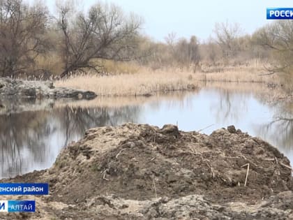 В Смоленском районе общественники предотвратили разрушение памятника природы