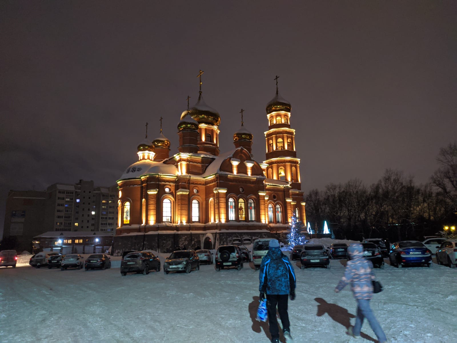 Александро Невский собор Барнаул зимой