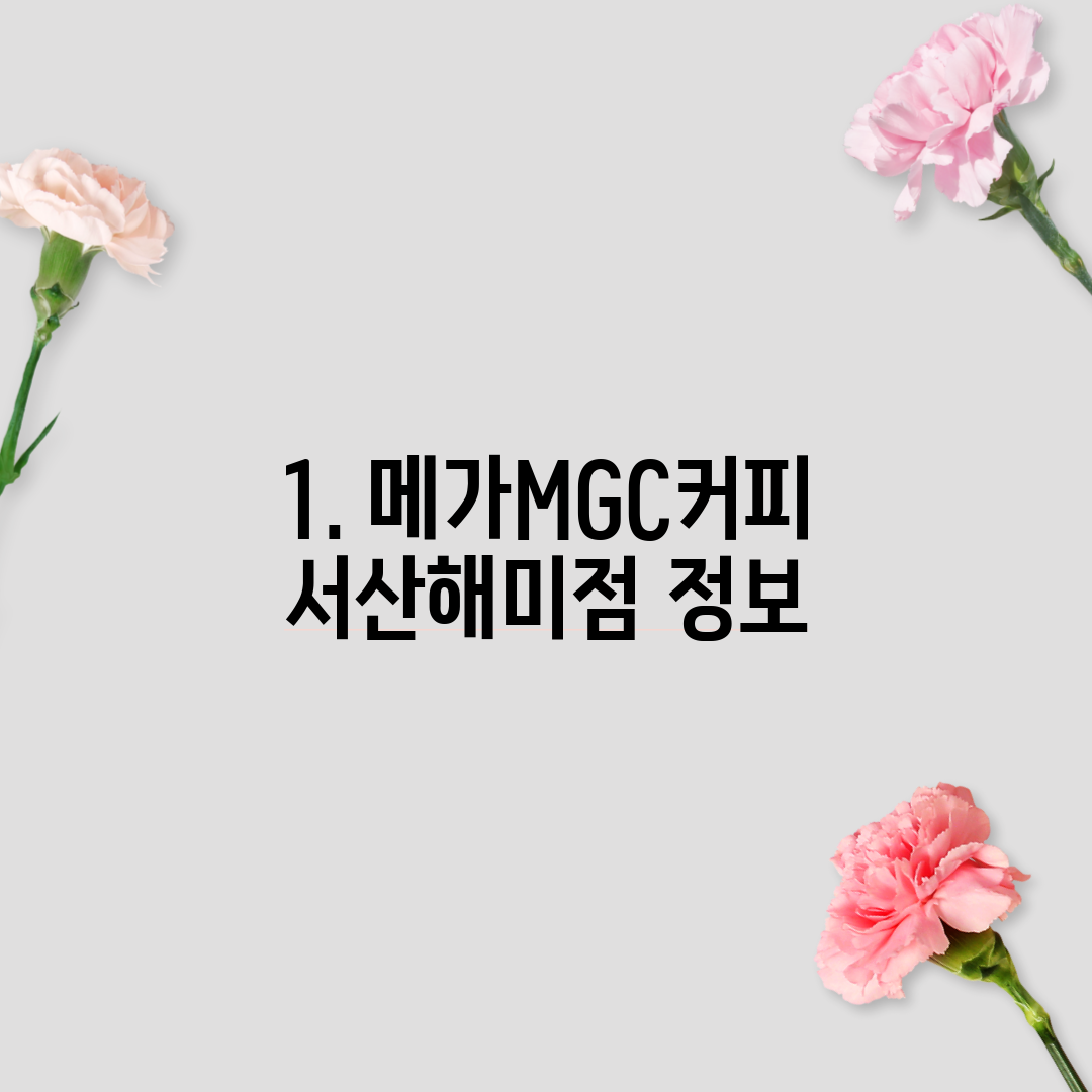 1. 메가MGC커피 서산해미점 정보