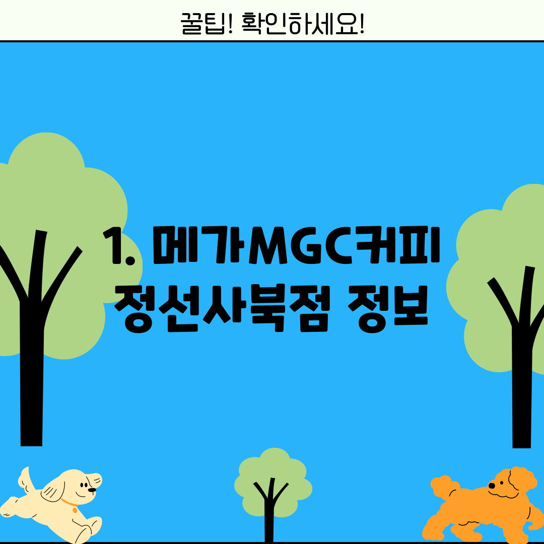 1. 메가MGC커피 정선사북점 정보