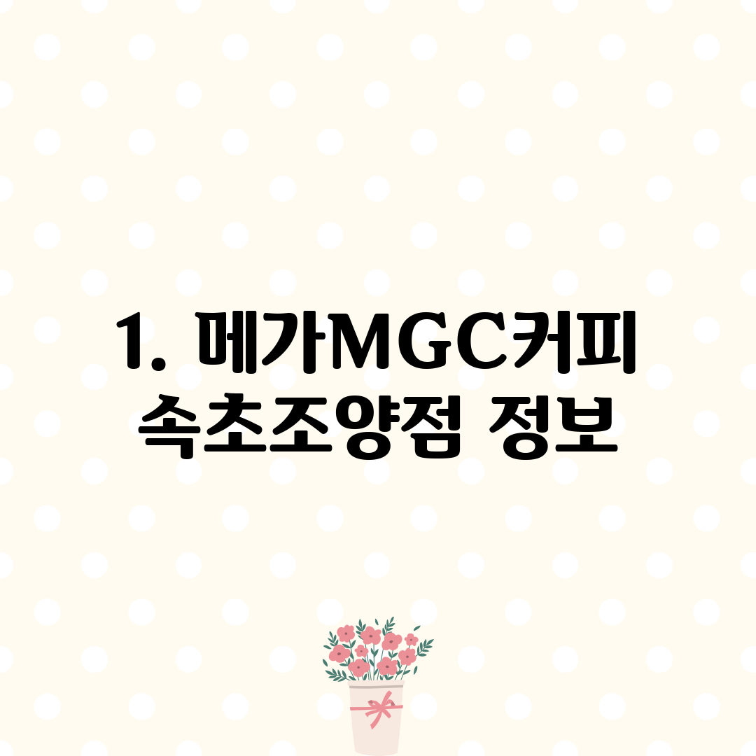 1. 메가MGC커피 속초조양점 정보