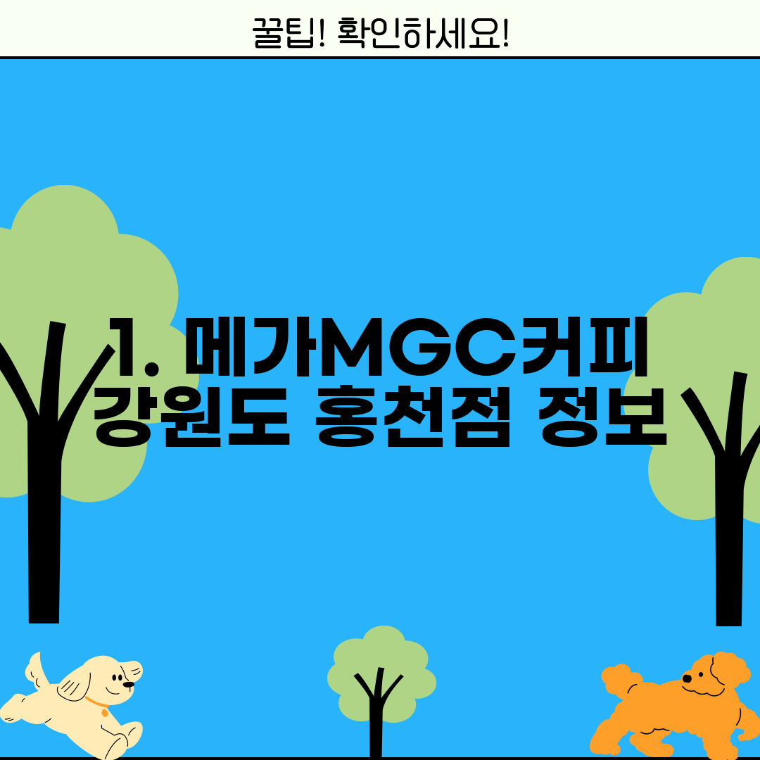 1. 메가MGC커피 강원도 홍천점 정보