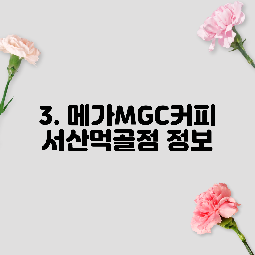 3. 메가MGC커피 서산먹골점 정보
