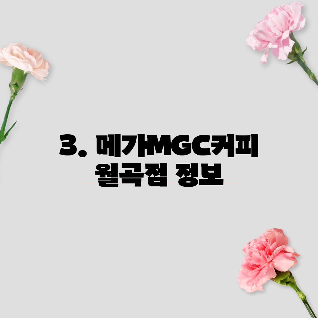 3. 메가MGC커피 월곡점 정보