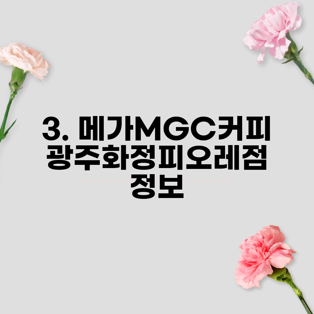 3. 메가MGC커피 광주화정피오레점 정보