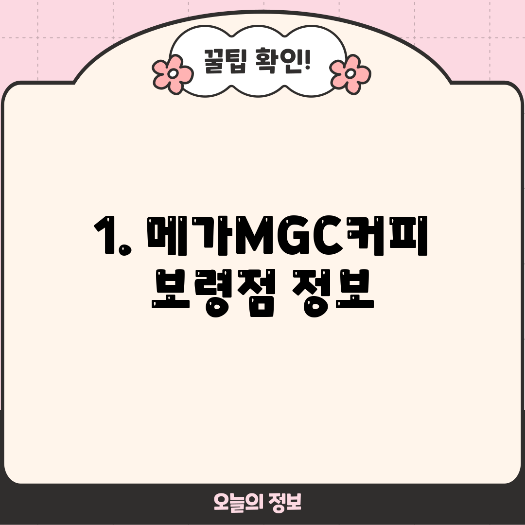 1. 메가MGC커피 보령점 정보