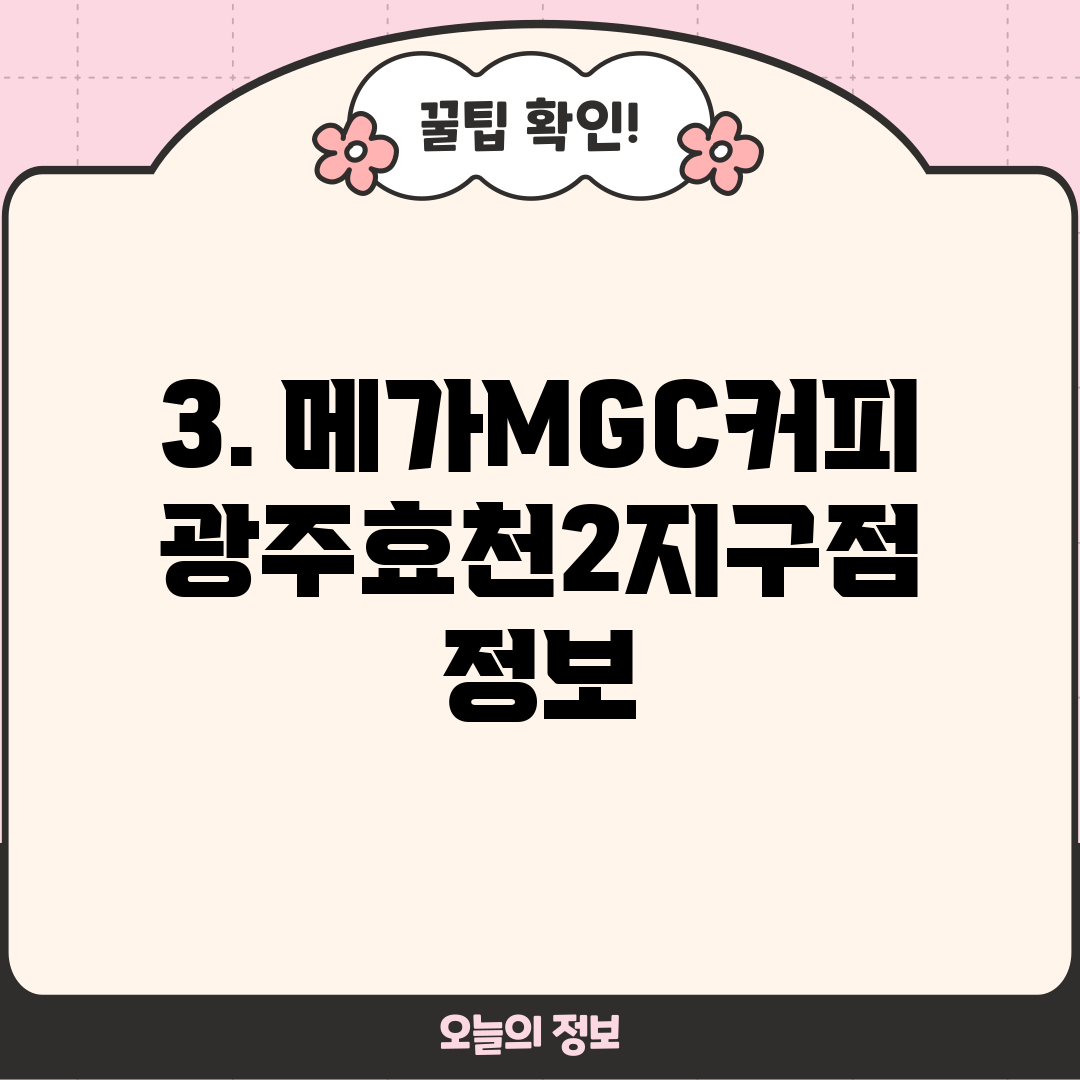 3. 메가MGC커피 광주효천2지구점 정보